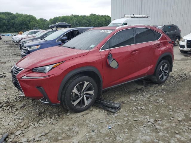 2021 LEXUS NX 300 BAS — VIN JTJGARDZ3M5029913