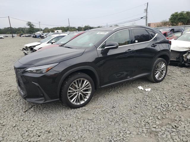 2025 LEXUS NX 350 PRE — VIN 2T2GGCEZ4SC065084