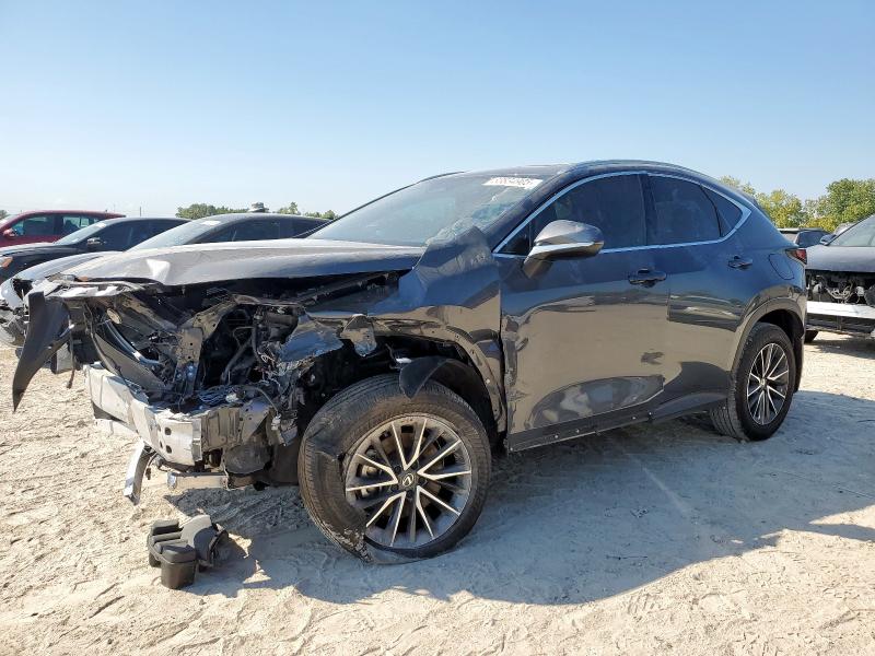 2025 LEXUS NX 250 BAS — VIN 2T2ADCAZ1SC025498