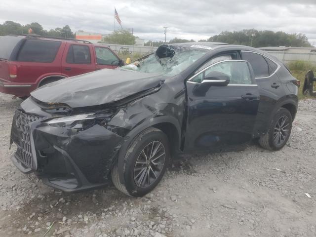 2023 LEXUS NX 350 — VIN 2T2GGCEZ3PC031175