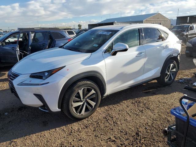 2019 LEXUS NX 300H — VIN JTJBJRBZXK2109494