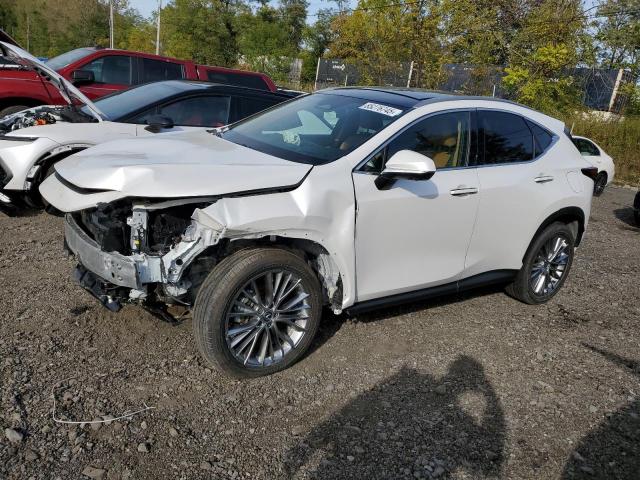 2025 LEXUS NX 350H BA — VIN 2T2HKCEZ0SC037592