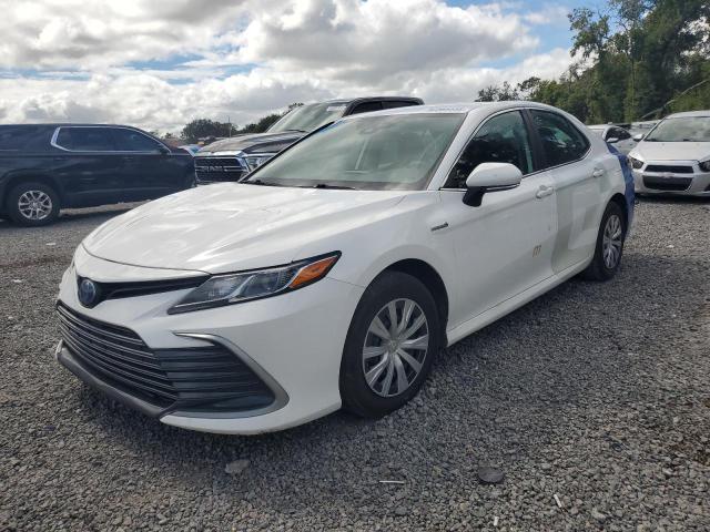 2021 TOYOTA CAMRY LE — VIN 4T1C31AK3MU567856