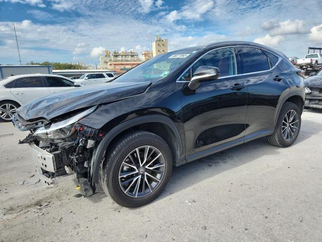 2024 LEXUS NX 250 BAS — VIN 2T2ADCAZ4RC013355