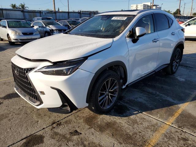 2024 LEXUS NX 250 BASE — VIN 2T2ADCAZ0RC007200