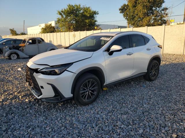 2022 LEXUS NX 350 — VIN 2T2GGCEZ4NC004600