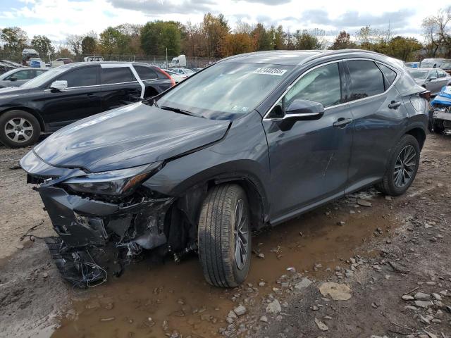 2025 LEXUS NX 350 BAS — VIN 2T2AGCEZ4SC081601