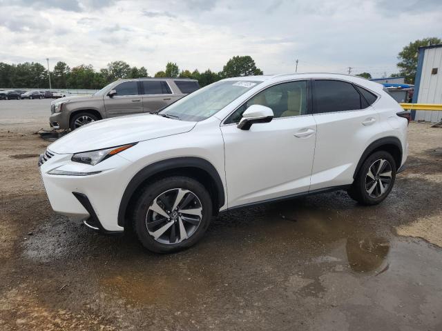 2019 LEXUS NX 300 BAS — VIN JTJYARBZ9K2128192