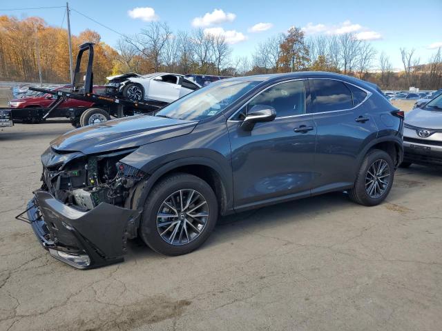 2024 LEXUS NX 350 PRE — VIN 2T2GGCEZ5RC033500