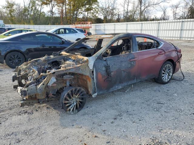 2019 LEXUS ES 350 — VIN 58ABZ1B15KU005964