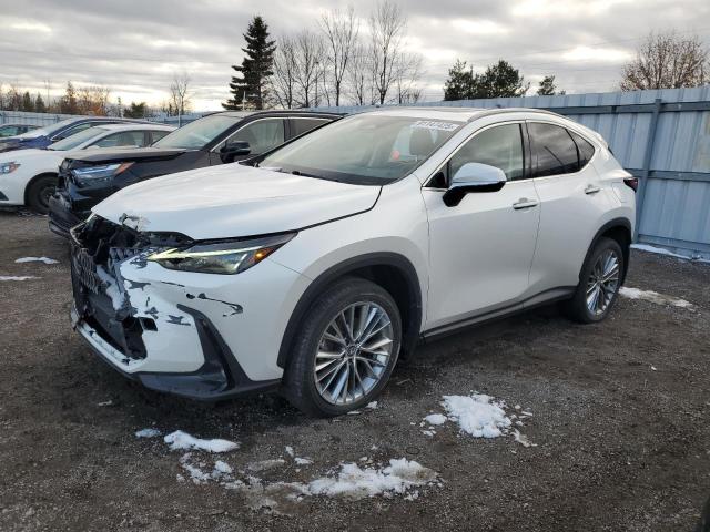 2022 LEXUS NX 350 — VIN 2T2GGCEZXNC005671