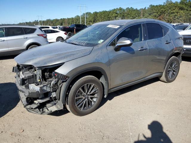 2025 LEXUS NX 250 PRE — VIN 2T2GDCAZXSC017202