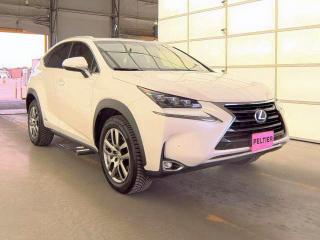 2016 LEXUS NX 300H — VIN JTJBJRBZ5G2031987