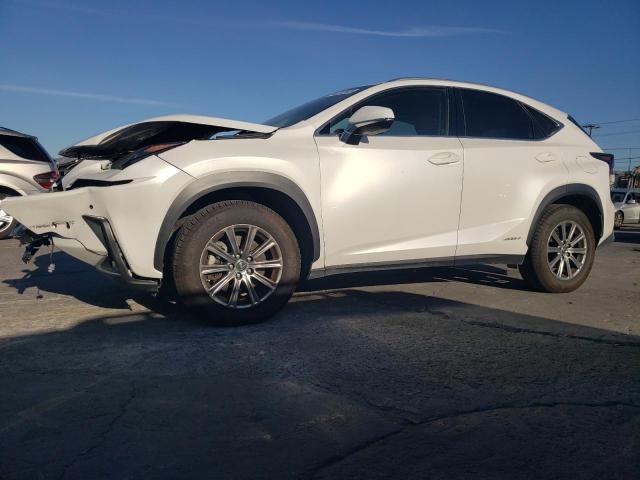 2019 LEXUS NX 300H — VIN JTJBJRBZXK2098979